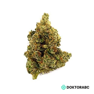 420 Evolution 27/1 CA STR Star Struck