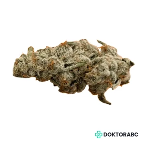 420 Evolution 33/1 CA PCH Peach Chementine