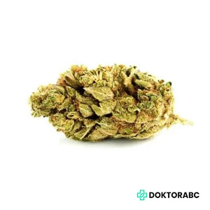 ADREX 24/1 AK COL Arequipe Kush