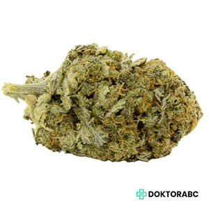 AlephSana 24/1 Mango Kush