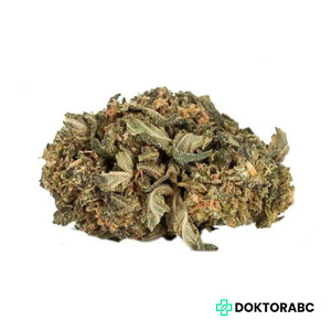 Aphria strong 8 Alien Dawg