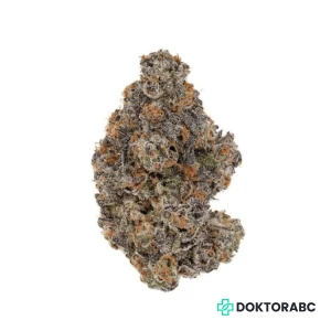 Remexian 28/1 GFR Godfather OG x Schroll Medical