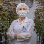 Cannabis gegen Krebs