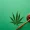 Cannabis Legalisierung