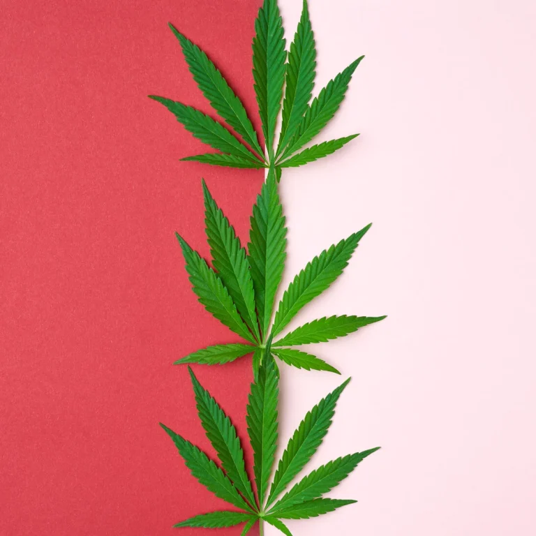 Cannabis gegen Depressionen und PTBS